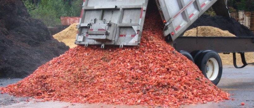 Chitin Fertilizer Market 