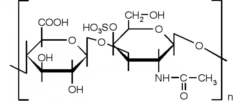 Chondroitin Sulfate Market