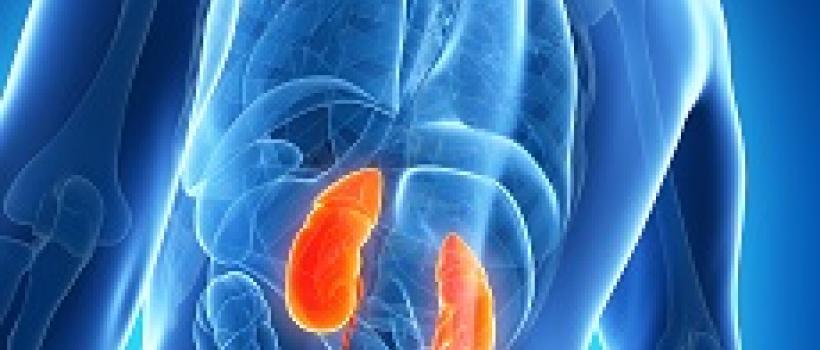 Chronic Kidney Disease