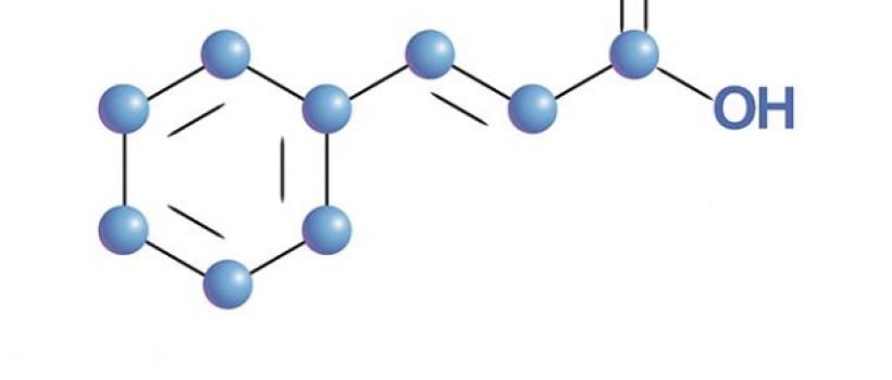 Cinnamic Acid Market