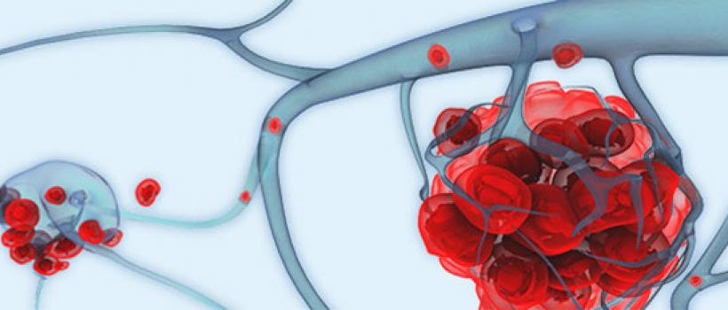 Circulating Tumor Cells (CTC) Market
