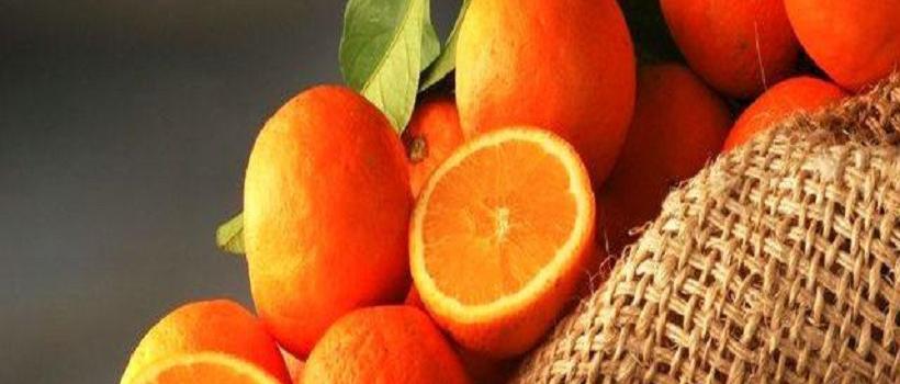   Citrus Aurantium Extract 