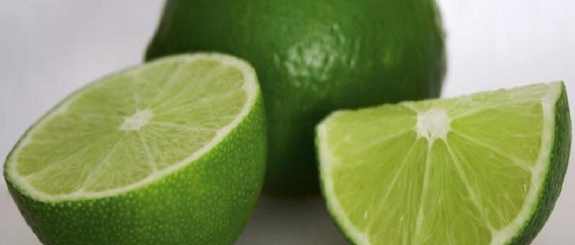 Citrus Aurantium Extract (Synephrine), Citrus Aurantium Extract (Synephrine) Market, Citrus Aurantium Extract (Synephrine) Market Growth 