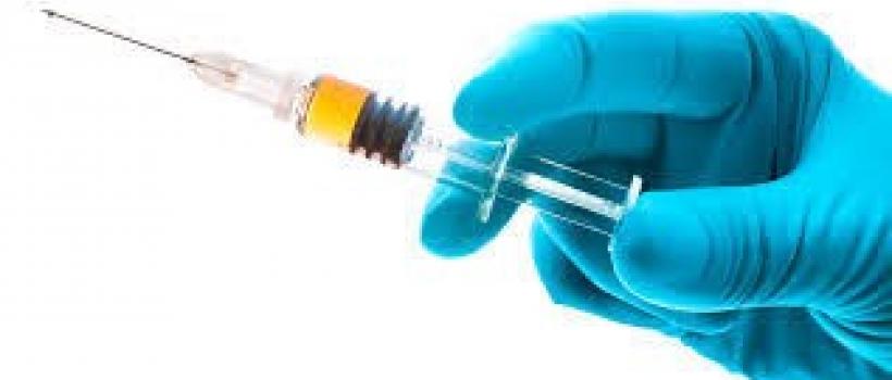 Classical Swine Fever Vaccines