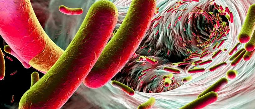 Clostridium Difficile