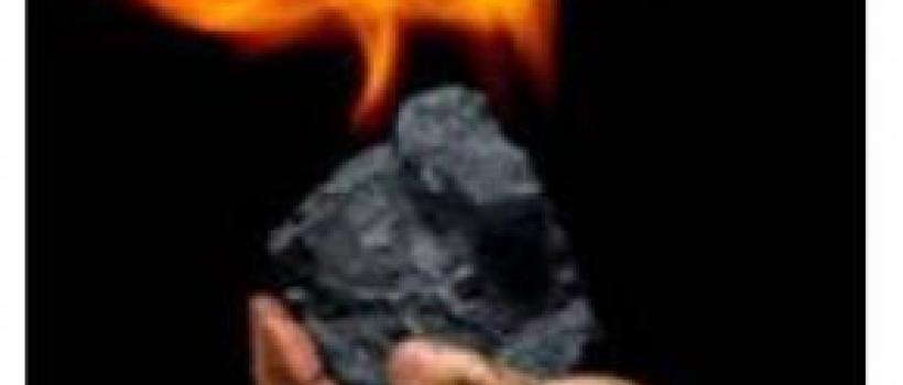 Coal Fuel