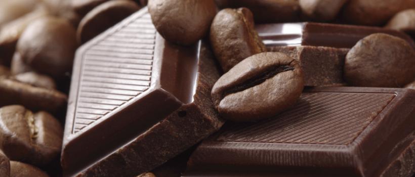cocoa and chocolate industry 
