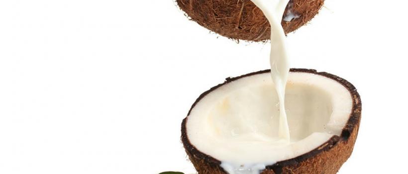 Coconut Milk 