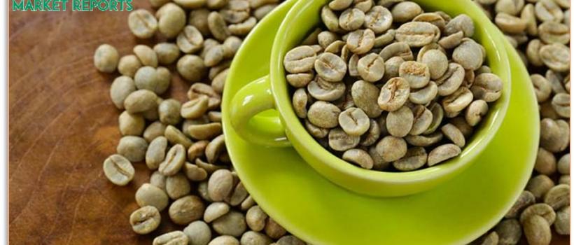 Coffee Bean Extract 