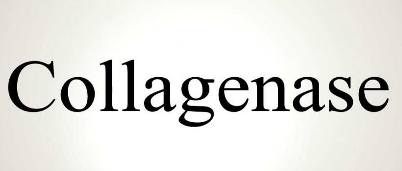 Collagenase Market