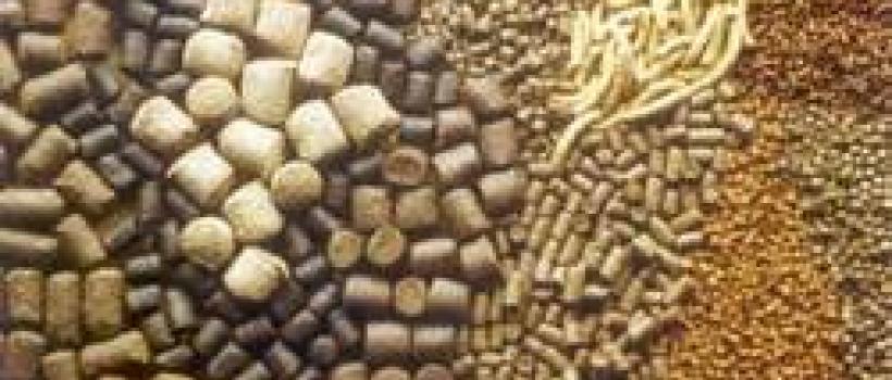 Commercial Fish Feed