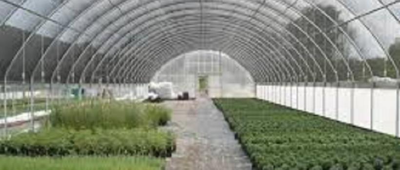 Commercial Greenhouse Equipments