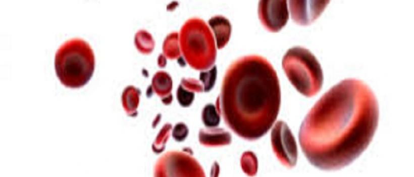 Complete Blood Count
