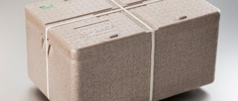 Compostable Particle Foam, Compostable Particle Foam Market, Compostable Particle Foam Market Growth