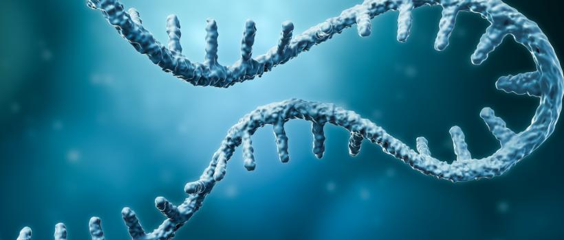 Computational Biology Market