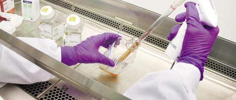 Vaccine Conjugate Market