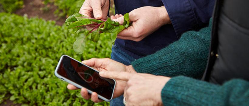  Connected Agriculture