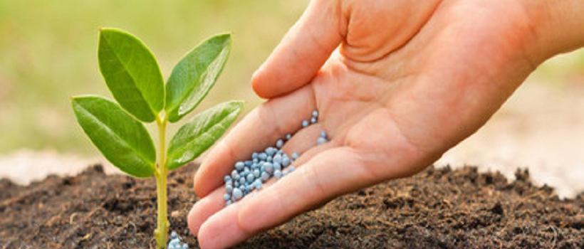  Controlled-release Fertilizer