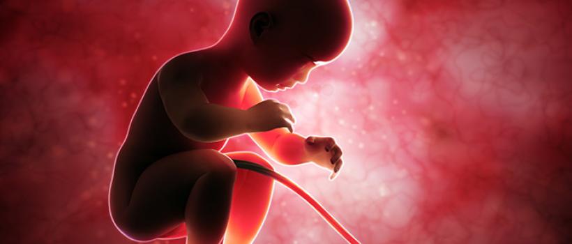 Cord Blood Banking