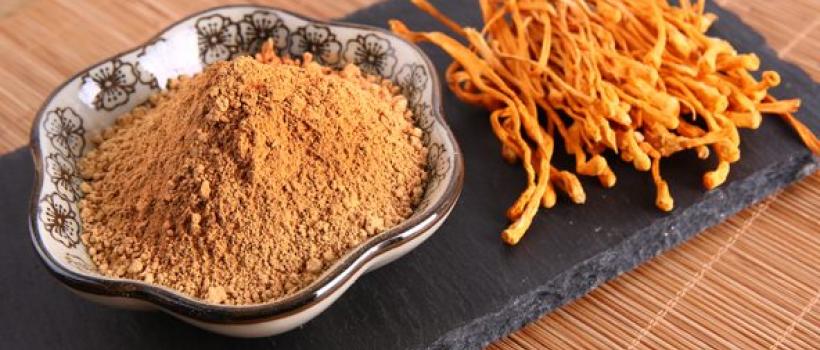 Cordyceps Sinensis Extract, Cordyceps Sinensis Extract Market, Cordyceps Sinensis Extract Market Growth