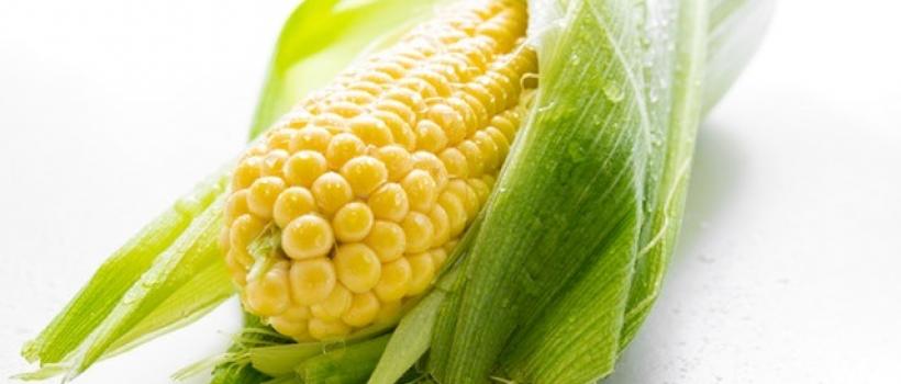 Corn Oil Market- Fact.MR