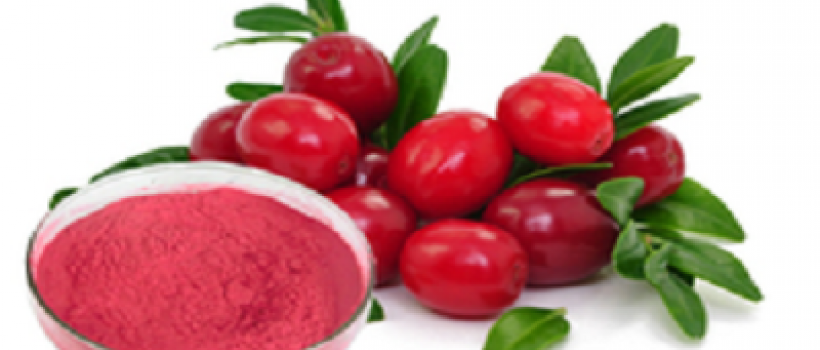Cranberry Extracts