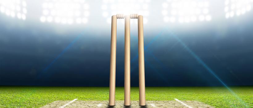 Cricket Analysis Software