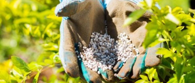 Crop Micronutrients Market