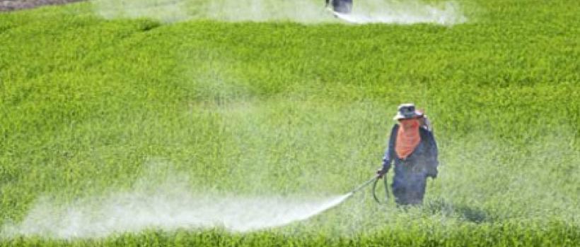 Crop Protection Chemicals Market