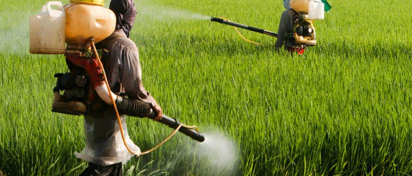 Crop Protection Chemicals