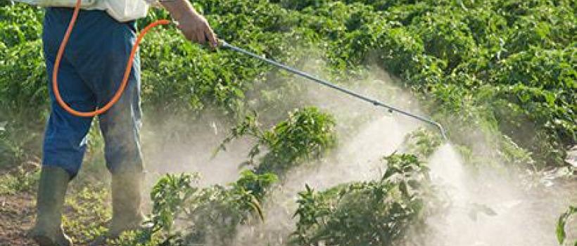Crop Protection Chemicals Market 