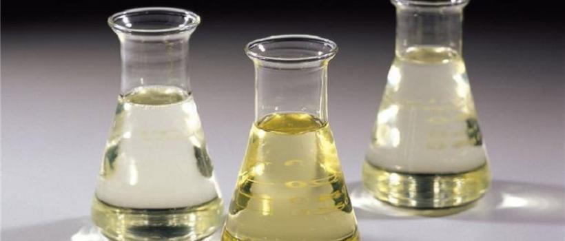  Crude Glycerine Market 