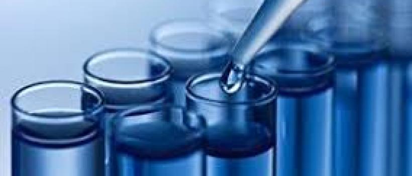 Custom Antibody Services