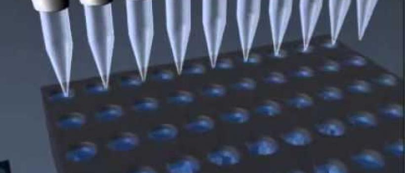 DNA Microarray Plate