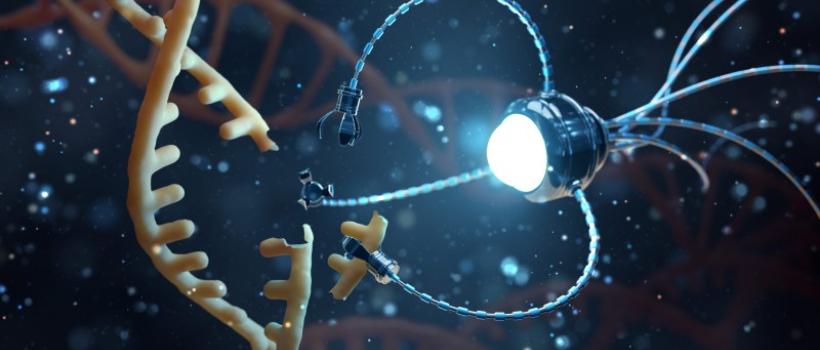 DNA Nanotechnology Market