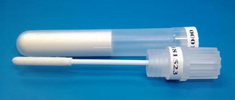 DNA Sampling Swab