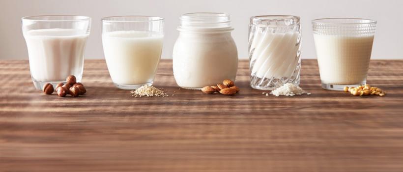 Dairy Alternatives Market
