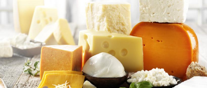 Dairy Cultures