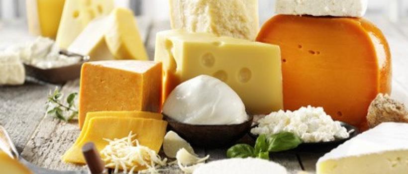  Dairy Enzymes