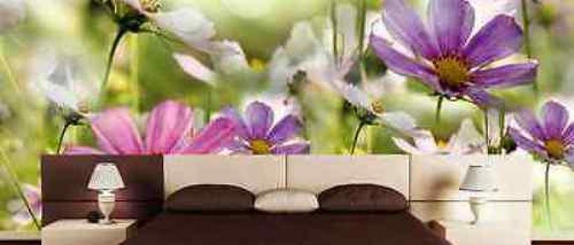 Decorative Wall Murals
