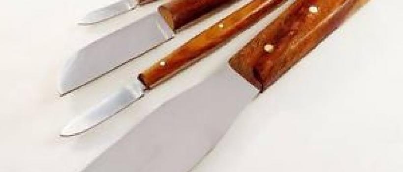 Dental Spatula