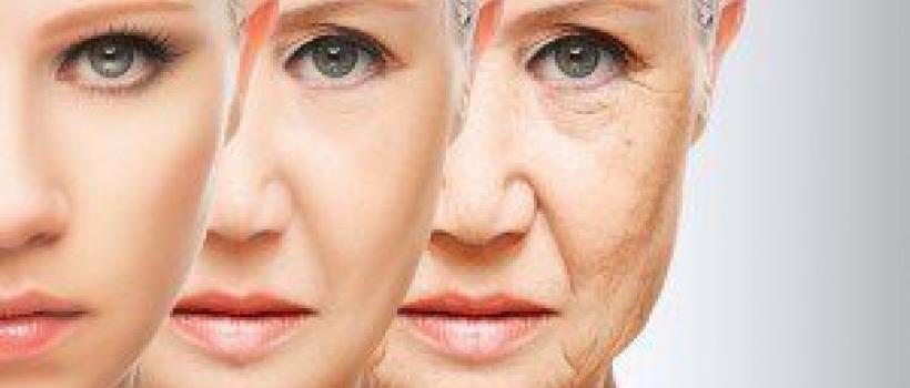Dermal Filler Market