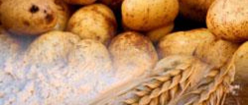 Dextrin Vegetable Adhesives Market