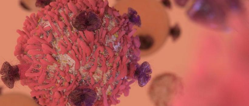 Diffuse Large B Cell Lymphoma Drug Market