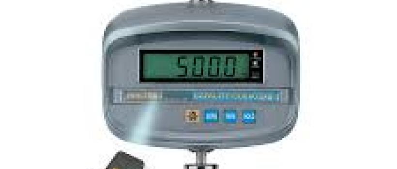 Digital Crane Scales