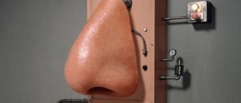 Digital Nose technology Market