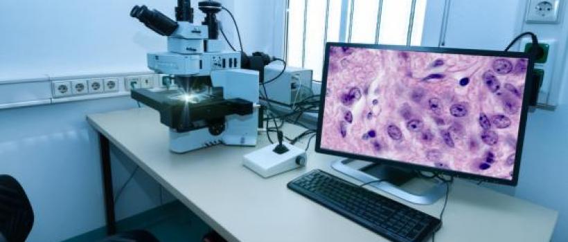Digital Pathology Market
