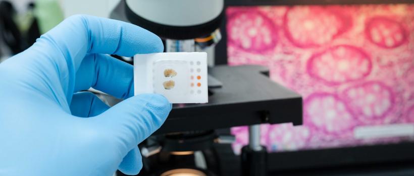 Digital Pathology Market 