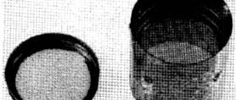 Dipterex (Trichlorfon) Market