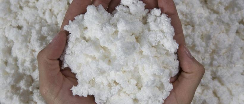 Dissolving Pulp Market